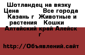 Шотландец на вязку › Цена ­ 1 000 - Все города, Казань г. Животные и растения » Кошки   . Алтайский край,Алейск г.